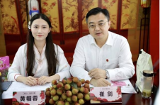 “数”立信心|直播助茂名荔枝一天预售采购意向6.66万吨 “数”立信心|直播助茂名荔枝一天预售采购意向6.66万吨