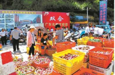 “钱排三华李”产业成为果农致富之路 “钱排三华李”产业成为果农致富之路