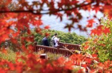 接待游客约26万人次、收入近亿元：元旦从化旅游受热捧