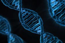科学家破解特殊DNA合成机制