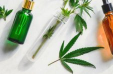 科技赋能植物，KPC助力新天然养肤
