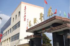 民族品牌的骄子，为什么是鲁花？