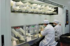 打造面向未来的工厂 稳健（桂林）乳胶以新技术增产能
